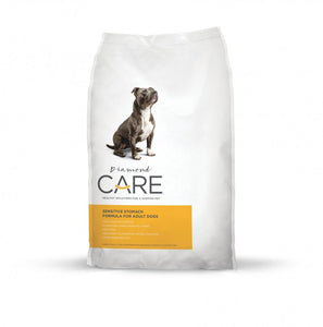 Gi tract dog clearance food