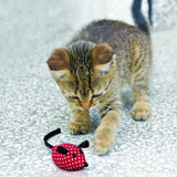 KONG Catnip Mice 2 Pack Cat Toy