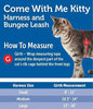 PetSafe Come with Me Kitty Red & Cranberry Harness and Bungee Leash for Cats