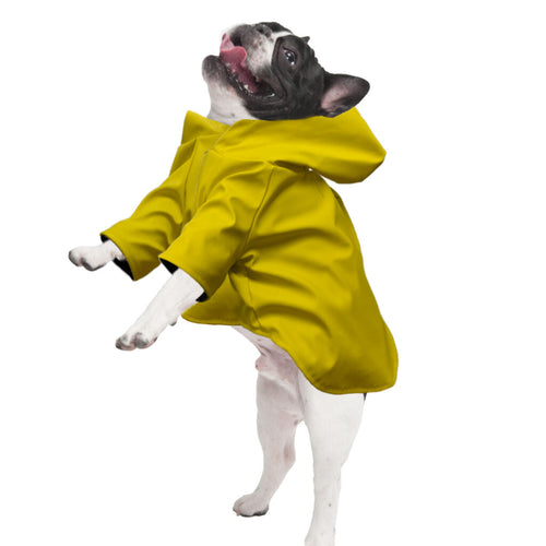 Fashion Pet Cosmo Yellow Reversible Urban Rain Coat