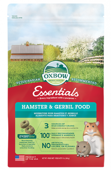Gerbil treats cheap