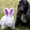 Hugglehounds Squooshies™ Bunny Dog Toy