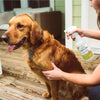Wondercide Lemongrass Flea & Tick Spray for Pets + Home (16-oz)