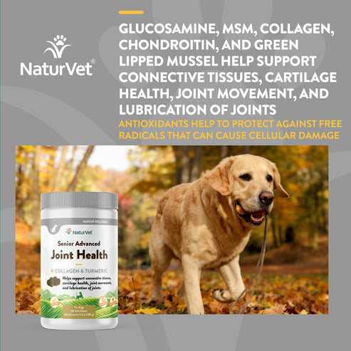 NaturVet Senior Advanced Joint Health Dog Soft Chews