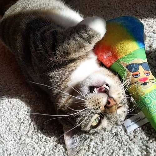 Meowijuana Get Chilled Refillable Snow Cone Cat Toy