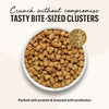 The Honest Kitchen Grain Free Turkey & Chicken Clusters Dry Cat Food