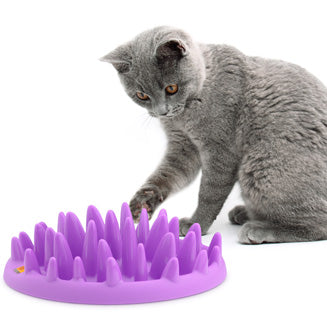 CATCH Interactive Feeder For Cats