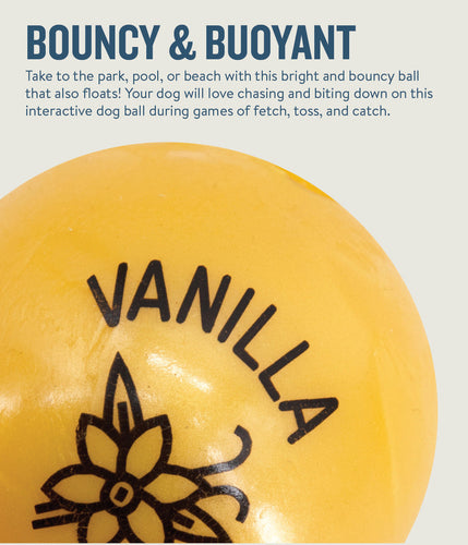 Outward Hound Orbee-Tuff Essentials Interactive Dog Ball