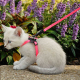Coastal Pet Li'l Pals Adjustable Kitten Harness and 6' Leash Combo